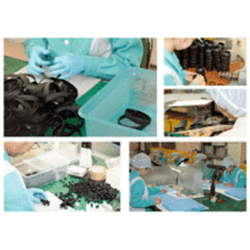 Lin Manufacturing Co., Ltd. - Three Attitudes