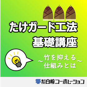 【たけガード工法基礎講座】竹(タケノコ)を抑える仕組みとは？