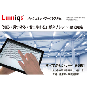 LED lighting control system "Mesh Network System"