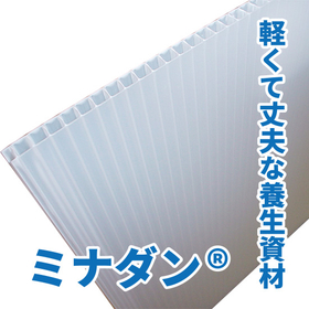 For protecting floors and walls! Plastic cardboard "Minadan"