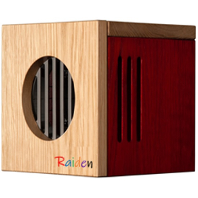 Virus prevention, disinfection, removal, deodorization - Air purification device 'Raiden'