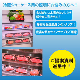 Proposal for LED lighting with color rendering for refrigerated display cases.