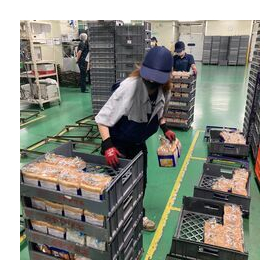AI自動検品システム　人手不足対策と省人化、不良率低減するには？
