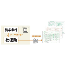 Report Issuance Software 'Social Insurance Assistance for Payroll Officer Ver.4.5'