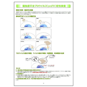 【技術資料】猫免疫不全プロウイルス(proFIV)定性検査