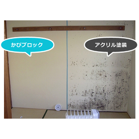 Proposal for Microbial Disaster Prevention: "SANO Mold Block Method"