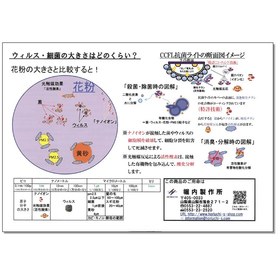 Technical Data: Size of Viruses and Bacteria
