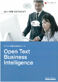 Open Text Business Intelligence