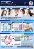 【English】pamphlet