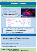 水溶性ポルフィリン　研究用試薬／癌診断（PDD）癌治療（PDT）［埼玉大］