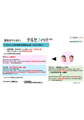 High absorption quercetin "Kersefit" functional indication compliant