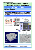 【分析事例】SiCパワートランジスタリーク箇所のSlice&view_3D-SEM_による故障解_C0710