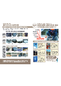 Disaster response capability (2)