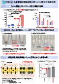 Beauty effects of immortalized human deciduous dental pulp stem cell culture supernatant (ImS cell culture supernatant *Cysay factor)