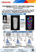 3次元X線顕微鏡によるカプセル内部の塩粒子の粒度分布測定