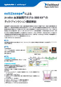 cellZscopeによるin vitro脳血液関門モデルBBBkitのタイトジャンクション機能解析