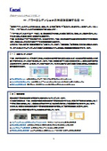 Overview of Power Conditioner Development Support Activities (What Japan Kernel System Can Do - Supporting the Development of Power Conditioners 1)