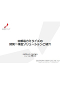 開発一体型ソリューション