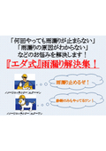 ※特許取得『何回やっても雨漏りが止まらない』などの方必見！『エダ式雨漏り解決集』