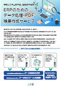 Data processing and PDF report creation services for ERP for the Information Systems Department and the Accounting Department.