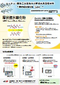 New aqueous positive electrode materials for nickel-zinc secondary batteries - layered double hydroxides - (Public Suwa University of Science and Technology)