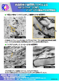 透過型電子顕微鏡(TEM)によるセルロースナノファイバー(CNF)複合バイオプラスチック製品中の形態観察