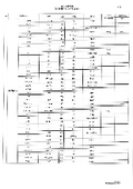 原材料証明書：植物発酵エキスFSN000.jpg"