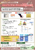 【靴のフィッティング評価】ピエゾワイヤセンサによる剪断力の推定［東京電機大］