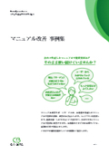 Manual Improvement Case Studies (User Manuals, Business Manuals, Installation Procedures, Multilingual Manuals)