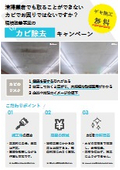 Mold removal service