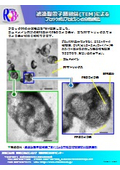 透過型電子顕微鏡(TEM)によるブロックポリプロピレンの分散構造