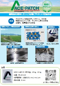  エース・パッチ
