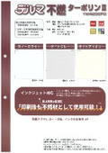 デルマ不燃2