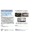秋田大学・名古屋大学技術：遺伝性対側性色素異常症（DSH）疾患モデルマウス：A26-002