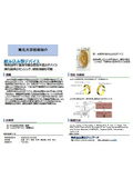 東北大学技術：飲み込み型デバイス：T25-061