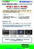 CAM接合