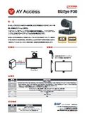 BizEye 30_Ver1.0.pdf