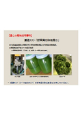 【遠心分離機活用事例】濾過テスト「野菜屑粉砕後廃水」