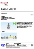 安全逃し弁 VSBV 25