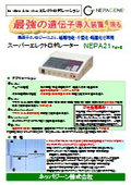 NEPA21 Type II