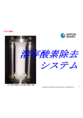 Dissolved oxygen removal system