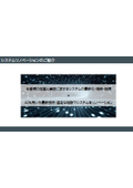 System modernization (migration, conversion, rebuild)