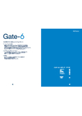 Interface Server "Gate-6" Product Catalog