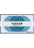 DX Support Service
