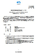 センカフィックスＪＯＹ－３０