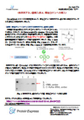 [Application Data] Example 4 of Non-Natural Amino Acid Introduction, Introduction to the Start Codon