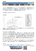 キャピラリー電気泳動法による短時間・高分解能アニオン分析（CE法）