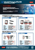 PCIe SSD_Flyer