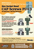 CAP PU＝３（英語）