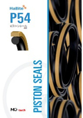 Piston Seal "P54" Hallite